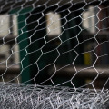 Hexagonal Poultry Netting Galvanized Chicken Wire Mesh Fence